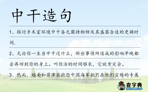 中干造句