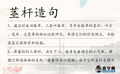 莖桿造句