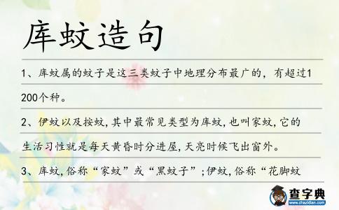 庫蚊造句