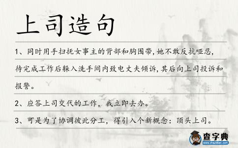 上司造句