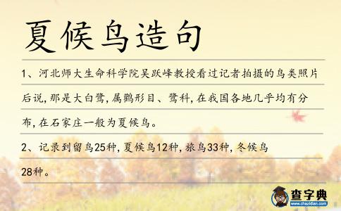 夏候鳥造句