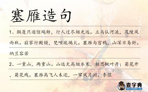 塞雁造句