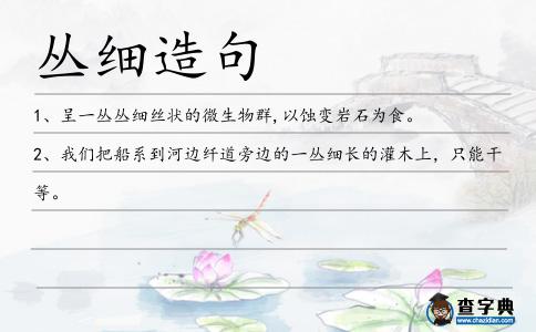 叢細造句