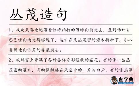 叢茂造句