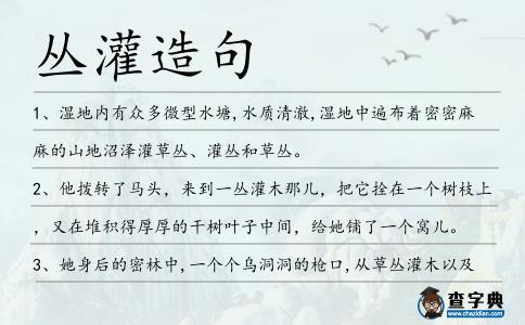 叢灌造句