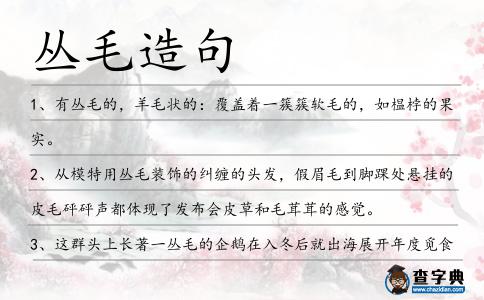 叢毛造句