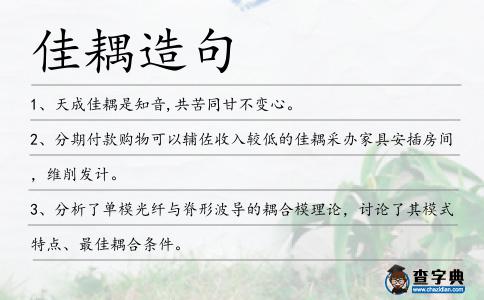 佳耦造句