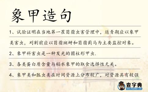 象甲造句