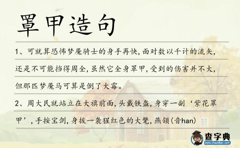罩甲造句