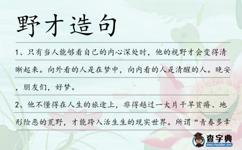 野才造句