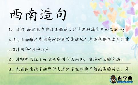 西南造句
