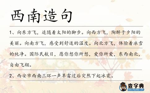 西南造句