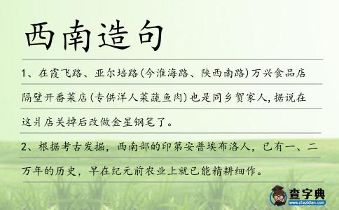 西南造句