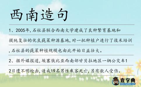 西南造句