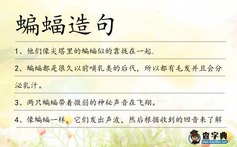蝙蝠造句