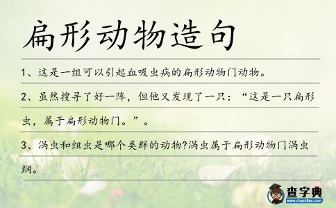 扁形動(dòng)物造句