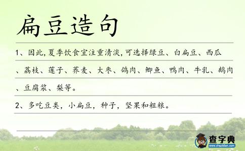 扁豆造句