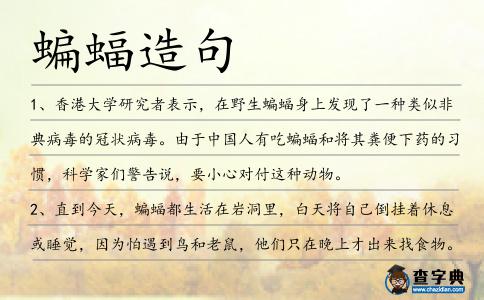 蝙蝠造句