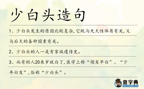 少白頭造句