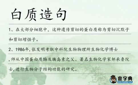 白質造句