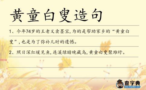 黃童白叟造句