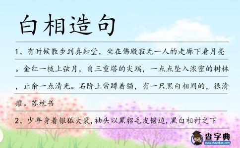 白相造句