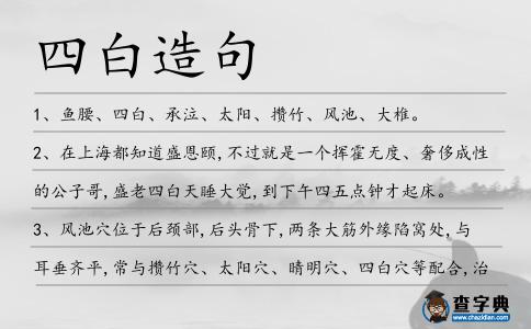 四白造句