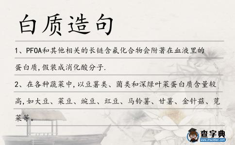 白質造句