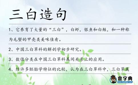 三白造句