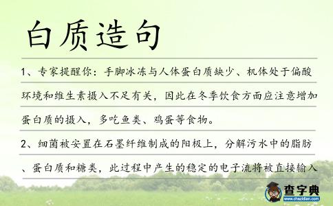白質造句