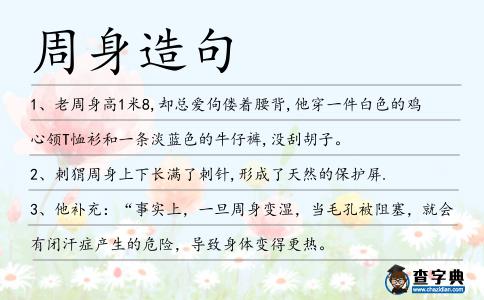 周身造句