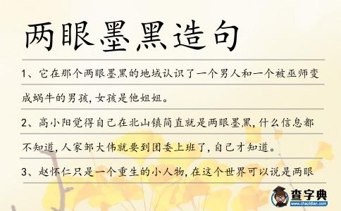 兩眼墨黑造句