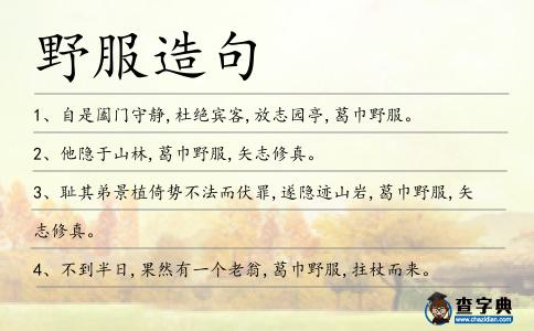 野服造句