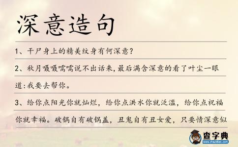 深意造句