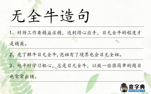 無全牛造句