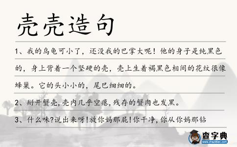 殼殼造句