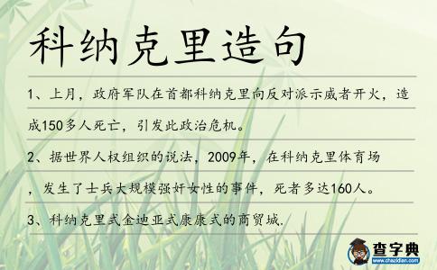 科納克里造句
