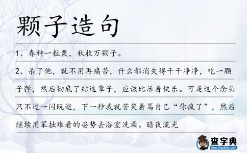 顆子造句