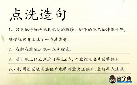 點(diǎn)洗造句