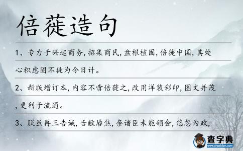 倍蓰造句