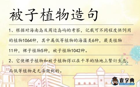 被子植物造句