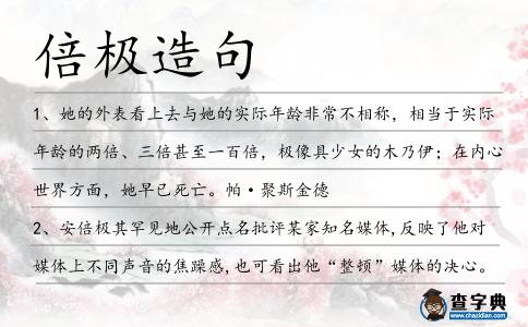倍極造句
