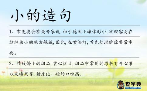 小的造句