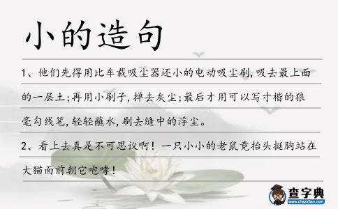 小的造句