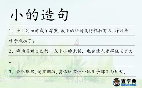 小的造句