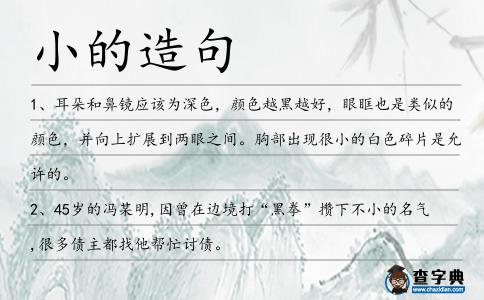小的造句