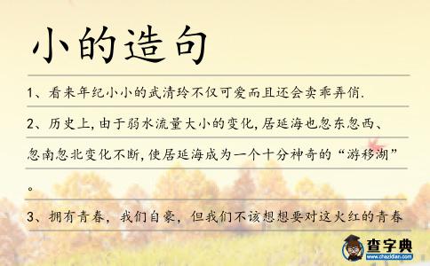 小的造句