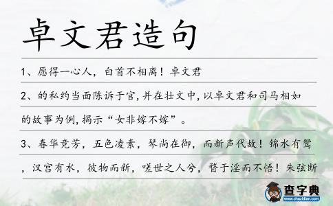 卓文君造句
