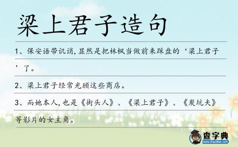 梁上君子造句