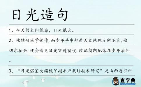 日光造句